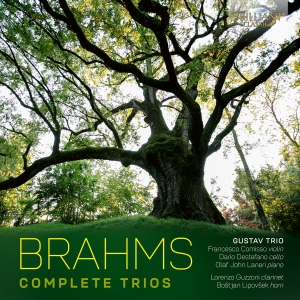 Johannes Brahms - Complete Trios i gruppen CD / Kommende / Klassisk hos Bengans Skivbutik AB (5589862)