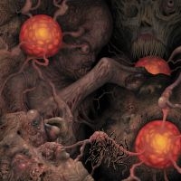 Various Artists - Sheol 4-Way Split i gruppen VI TIPSER / Fredagsutgivelser / 2025-04-11 hos Bengans Skivbutik AB (5590089)