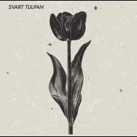 Svart Tulpan - Svart Tulpan i gruppen VINYL / Kommende / Pop-Rock,Svensk Musikkk hos Bengans Skivbutik AB (5590250)