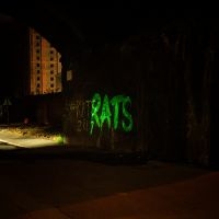 Rats - Rule The World i gruppen VINYL / Kommende / Pop-Rock hos Bengans Skivbutik AB (5590547)