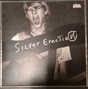 Silver Erection - Politics i gruppen VI TIPSER / Hjem - Vinyl Nyheter & Kommende hos Bengans Skivbutik AB (5590609)