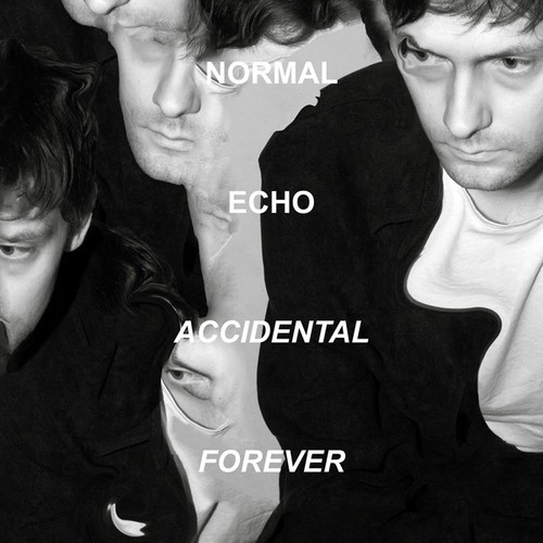 Normal Echo - Accidental Forever i gruppen Annet / hos Bengans Skivbutik AB (5590639)