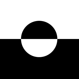 Molly Nilsson - Zenith i gruppen VINYL / Pop-Rock hos Bengans Skivbutik AB (5590991)