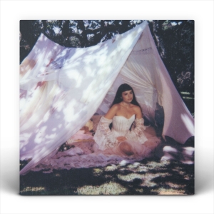 Julia Mestre - Maravilhosamente Bem i gruppen VI TIPSER / Bengans Personal tipser / Best so far in 2025 - MK hos Bengans Skivbutik AB (5591101)