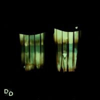 Divide And Dissolve - Insatiable i gruppen VI TIPSER / Fredagsutgivelser / 2025-04-18 hos Bengans Skivbutik AB (5591380)