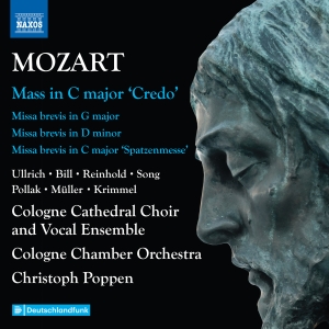 Mozart W A - Complete Masses, Vol. 6 i gruppen CD / Kommende / Klassisk hos Bengans Skivbutik AB (5591736)