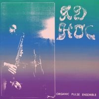 Organic Pulse Ensemble - Ad Hoc i gruppen VI TIPSER / Fredagsutgivelser / 2025-04-18 hos Bengans Skivbutik AB (5591786)