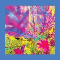 Reds Pinks & Purples The - The Past Is A Garden I Never Fed (N i gruppen VINYL / Kommende / Pop-Rock hos Bengans Skivbutik AB (5591919)