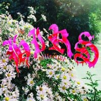 Hirs Collective The - We're Still Here (White Vinyl) i gruppen VINYL / Kommende / Metal hos Bengans Skivbutik AB (5592114)