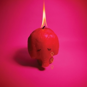 Arcade Fire - Pink Elephant i gruppen VINYL / Pop-Rock hos Bengans Skivbutik AB (5592355)
