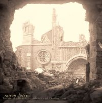 Raison D'etre - Within The Depths Of Silence And Ph i gruppen VINYL / Kommende / Pop-Rock hos Bengans Skivbutik AB (5592634)
