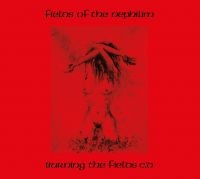 Fields Of The Nephilim - Burning The Fields (2 Cd With Remix i gruppen CD / Kommende / Metal hos Bengans Skivbutik AB (5592647)