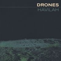 Drones The - Havilah (2 Lp Vinyl) i gruppen VINYL / Kommende / Pop-Rock hos Bengans Skivbutik AB (5592666)