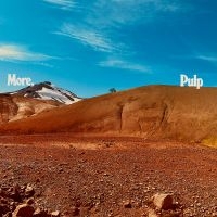 Pulp - More. i gruppen Kommende / Pop-Rock hos Bengans Skivbutik AB (5592754)