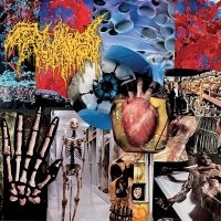Trichomoniasis - Harvest Of The Killing Fields i gruppen CD / Kommende / Metal hos Bengans Skivbutik AB (5592863)