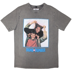 Dumb & Dumber Movie - Movie Poster Stone Wash Uni Grey T-Shirt i gruppen MERCHANDISE / T-shirt / Film-Musikkkal hos Bengans Skivbutik AB (5593176r)