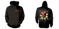 Corrosion Of Conformity - Hood - Wiseblood M) i gruppen MERCHANDISE / Hoodies / Kommende / Metal hos Bengans Skivbutik AB (5593855)