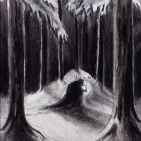 Havukruunu - Havulinnaan i gruppen CD / Kommende / Metal hos Bengans Skivbutik AB (5593905)