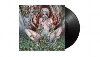 Cannibal Corpse - Worm Infested (Black Vinyl Lp) i gruppen VINYL / Kommende / Metal hos Bengans Skivbutik AB (5594061)