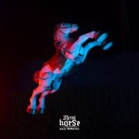 Billy Nomates - Metalhorse i gruppen CD / Kommende / World Music hos Bengans Skivbutik AB (5594101)