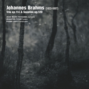 Jean-Marc Fessard & Jennifer Fichet & Diana Ligeti - Brahms: Trio Op. 114 Sonates Op. 120 i gruppen CD hos Bengans Skivbutik AB (5594394)