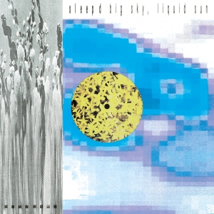 Sleep D - Big Sky, Liquid Sun i gruppen VINYL / Norsk Musikkk hos Bengans Skivbutik AB (5594530)