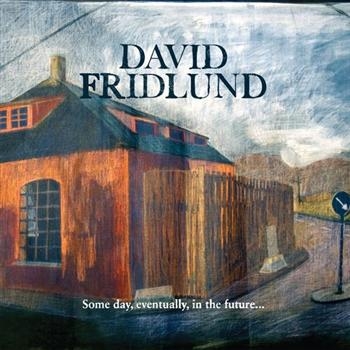 Fridlund David - Some Day, Eventually, In The Future i gruppen CD / Pop hos Bengans Skivbutik AB (560564)