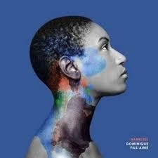 Dominique Fils-Aimé - Namelass i gruppen VINYL / RnB-Soul hos Bengans Skivbutik AB (5626755)