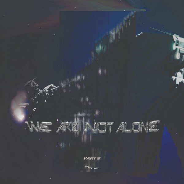 Various Artists - We Are Not Alone - Part 9 i gruppen VINYL / Toppselgere hos Bengans Skivbutik AB (5626808)