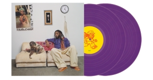 Aminé - 13 Months Of Sunshine (Purple Vinyl Edition) i gruppen VI TIPSER / Bengans Personal tipser / Håndplukket hip-hop gjennom årene hos Bengans Skivbutik AB (5626920)