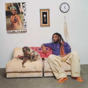Aminé - 13 Months Of Sunshine (Black Vinyl) i gruppen VINYL / Kommende / Hip Hop-Rap hos Bengans Skivbutik AB (5626921)