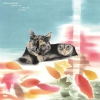 Eddie Marcon - Carpet Of Fallen Leaves i gruppen CD / Nyheter / Pop-Rock hos Bengans Skivbutik AB (5627210)