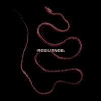 Throatcut - Resilience (Red/Black Marble) i gruppen VINYL / Kommende / Metal hos Bengans Skivbutik AB (5627378)