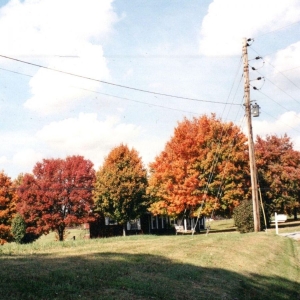 Vegas Water Taxi - Things Are Gonna Be Alright Extende i gruppen VINYL / Pop-Rock,Svensk Musikkk hos Bengans Skivbutik AB (5627381)