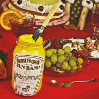 Scott Hepple And The Sun Band - English Mustard (Vinyl Lp) i gruppen VINYL / Kommende / Pop-Rock hos Bengans Skivbutik AB (5627539)