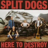 Split Dogs - Here To Destroy i gruppen VINYL / Kommende / Pop-Rock hos Bengans Skivbutik AB (5627984)
