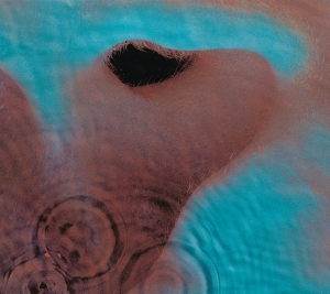 Pink Floyd - Meddle i gruppen VINYL / Pop-Rock hos Bengans Skivbutik AB (5628759)