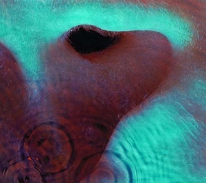 Pink Floyd - Meddle i gruppen CD / Kommende / Pop-Rock hos Bengans Skivbutik AB (5628760)