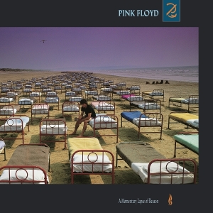 Pink Floyd - A Momentary Lapse Of Reason i gruppen VI TIPSER / Mest Populære vinylklassiker hos Bengans Skivbutik AB (5628763)