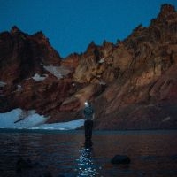 Mcnown Max - Night Diving (The Cost Of Growing U i gruppen VI TIPSER / Fredagsutgivelser / 2025-08-15 hos Bengans Skivbutik AB (5628959)