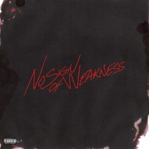 Burna Boy - No Sign Of Weakness i gruppen VI TIPSER / Fredagsutgivelser / 2025-07-11 hos Bengans Skivbutik AB (5628997)
