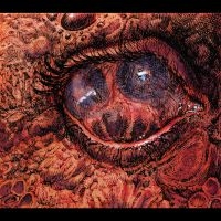 Shardik - Cruelty Bacchanal i gruppen CD / Kommende / Pop-Rock hos Bengans Skivbutik AB (5629011)