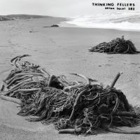 Thinking Fellers Union Local 282 - Tangle i gruppen VINYL / Kommende / Pop-Rock hos Bengans Skivbutik AB (5629276)
