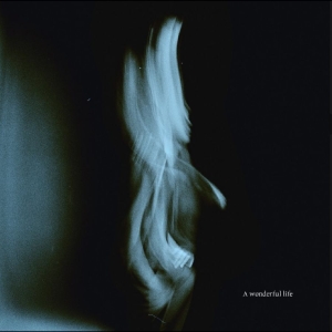 Tom Odell - A Wonderful Life i gruppen VI TIPSER / Fredagsutgivelser / 2025-09-05 hos Bengans Skivbutik AB (5629432)