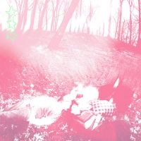Shower Curtain - Words From A Wishing Well (Benadryl i gruppen VINYL / Kommende / Pop-Rock hos Bengans Skivbutik AB (5629449)