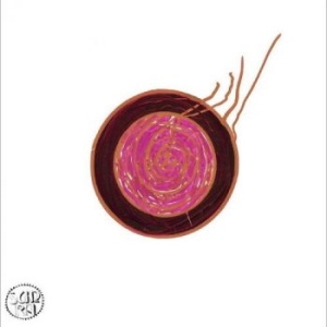 Sun Ra - Sleeping Beauty i gruppen VI TIPSER / Fredagsutgivelser / 2025-07-18 hos Bengans Skivbutik AB (5629681)