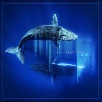 The Naked Souls - Reverb From The Depths i gruppen VINYL / Nyheter / Pop-Rock hos Bengans Skivbutik AB (5629911)