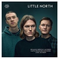 Little North - Little North i gruppen VINYL / Jazz hos Bengans Skivbutik AB (5629958)