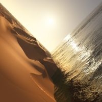 Pritchard Mark - Under The Sun i gruppen VINYL / Kommende / Pop-Rock hos Bengans Skivbutik AB (5630032)