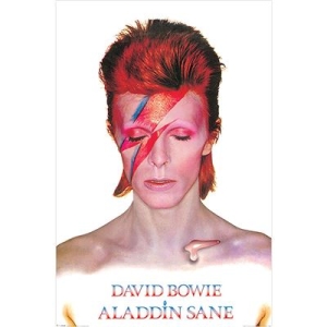 David Bowie  - Aladdin Sane  91,5 X 61 Cm i gruppen MERCHANDISE / Poster /  hos Bengans Skivbutik AB (5630238)